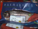 salsmessa0317.jpg (68032 byte)